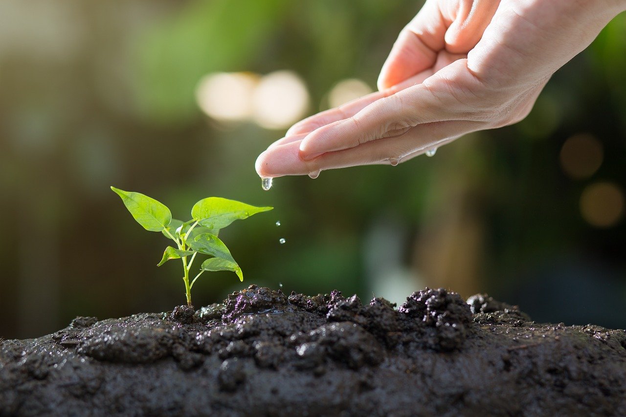 How to Build an Effective ESG Strategy for Your Business