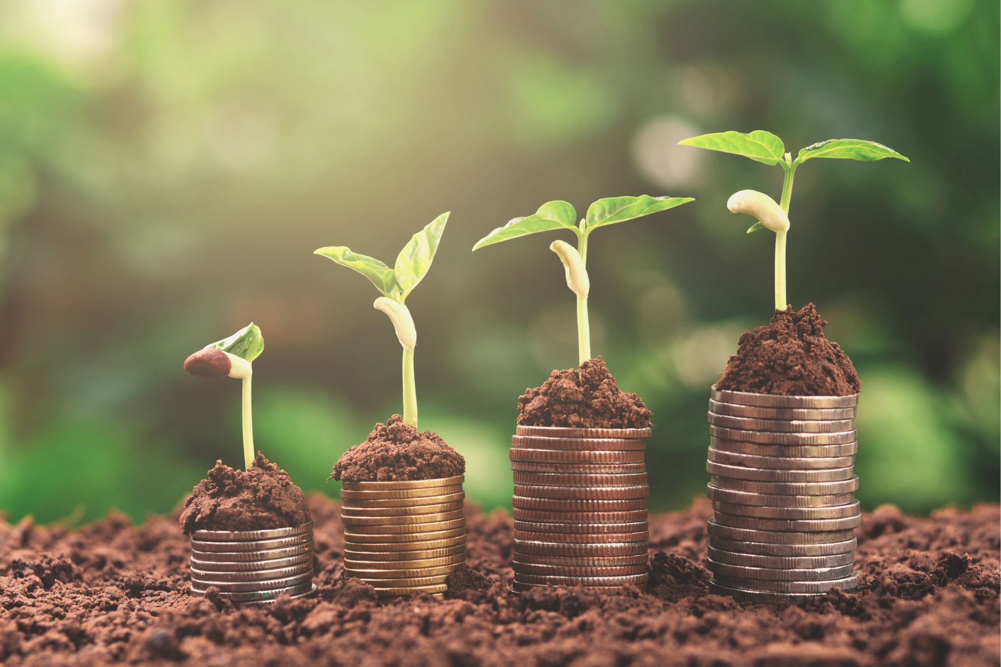 Green Financing in the Middle East: Opportunities and Challenges for Local Businesses