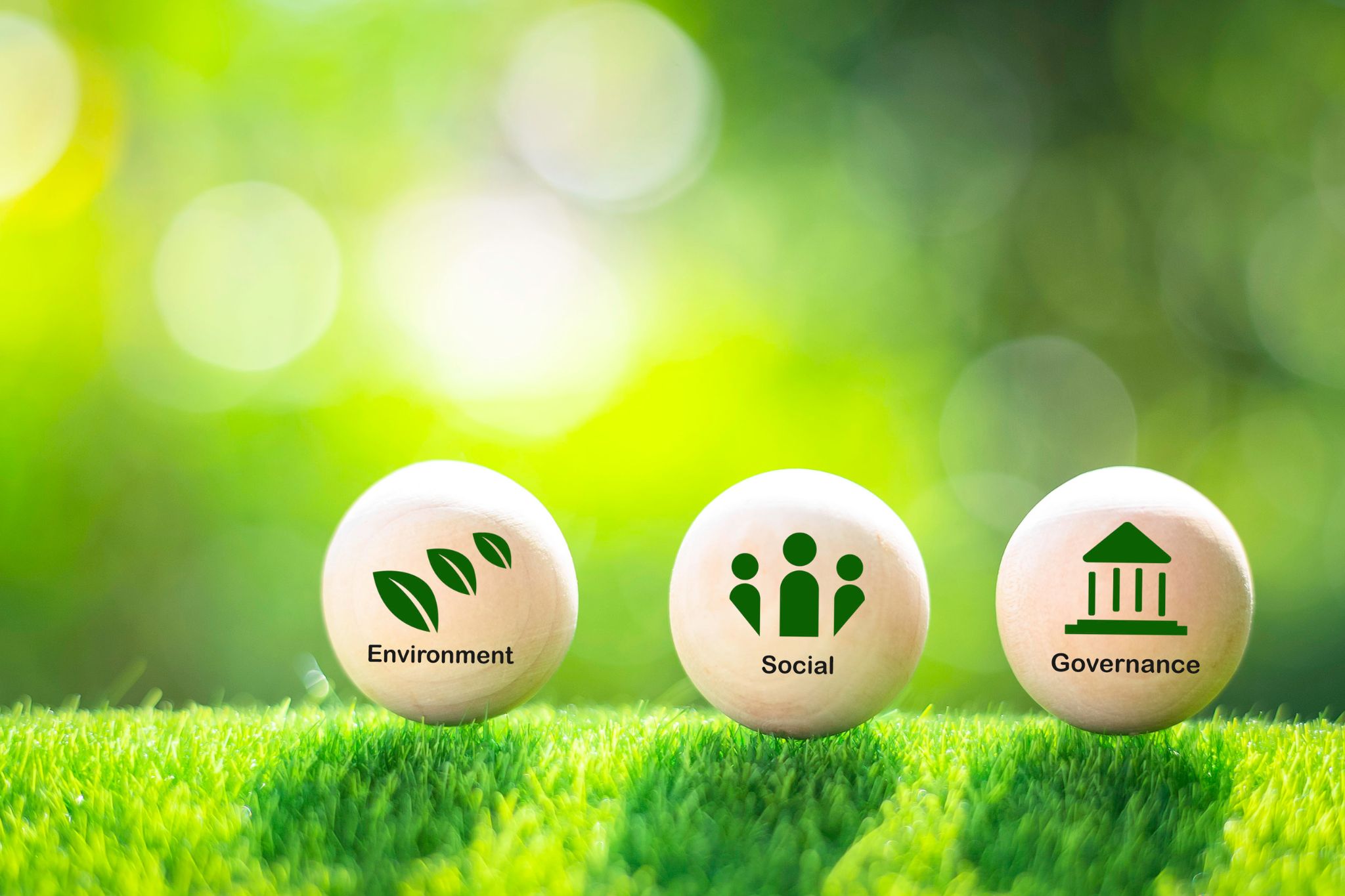 How to Attract Investors with a Strong ESG Strategy